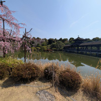 春を感じさせる木々と美しい橋