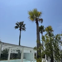チャペル外