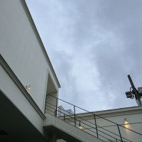 ガーデンの階段