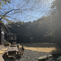 庭の写真です。