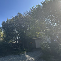 入り口の写真です。