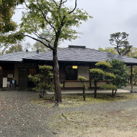 待合室でお抹茶をゲストへ提供していただけるようです