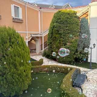 フラワーシャワーするところです