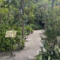 緑がいっぱいな駐車場からの入り口