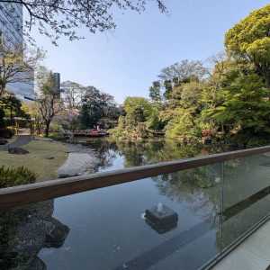 1万坪の庭園|745143さんの東郷神社／原宿 東郷記念館の写真(2418602)