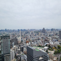 高層階からの景色