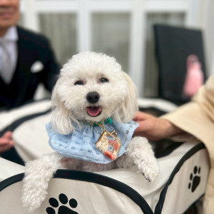 犬オッケー|745265さんのアールベルアンジェ名古屋の写真(2419465)