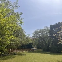 たくさんの自然に囲まれて挙式ができます