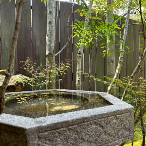 素敵なお庭|745416さんの萬屋本店 - KAMAKURA HASE est1806 -の写真(2420577)