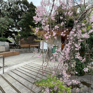 外観|745442さんの乃木神社・乃木會館の写真(2424141)