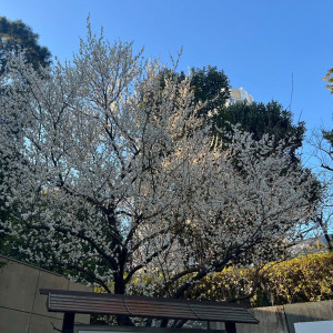外観|745442さんの乃木神社・乃木會館の写真(2424137)