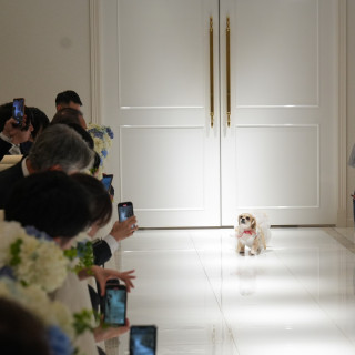 愛犬による、リング運び