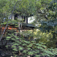 庭園からみた会場