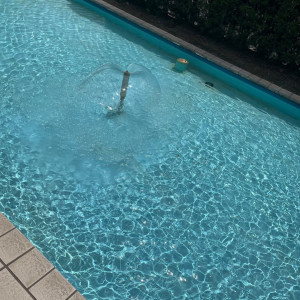 プール|745609さんのグランラセーレの森の写真(2424843)