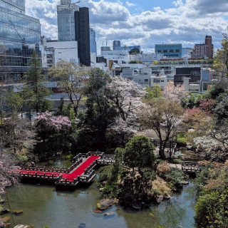 桜が咲いてるとより一層綺麗です。