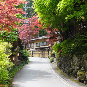 ロケーション|745697さんのうかい鳥山の写真(2422631)