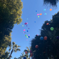 ドロップ&フライ