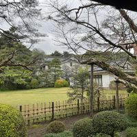 桃林荘からの庭の眺め
