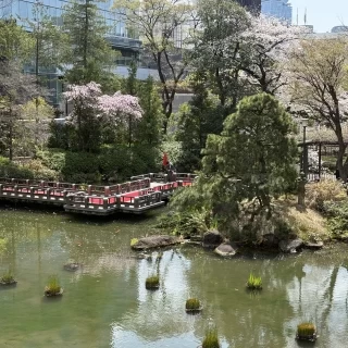 折れ橋がとても綺麗でした。