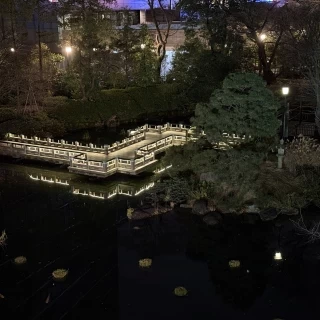 夜景もとても綺麗です。