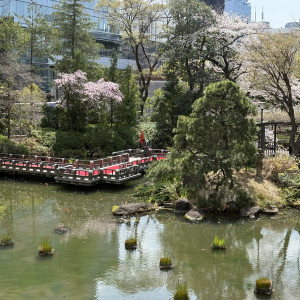 折れ橋がとても綺麗でした。|745960さんの東郷神社／原宿 東郷記念館の写真(2424456)