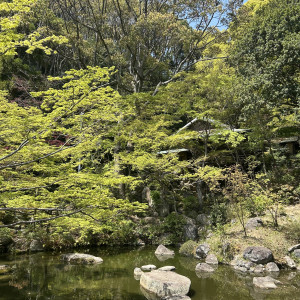 日本庭園|746008さんの神戸迎賓館 旧西尾邸の写真(2424641)
