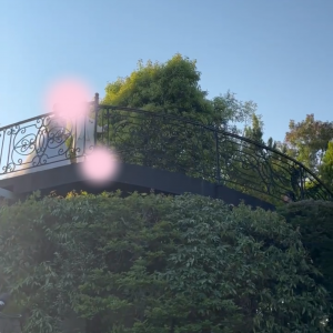 ガーデンが広く、上から新郎新婦が登場|746054さんのアニヴェルセル 大宮の写真(2425044)