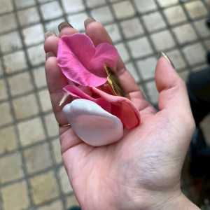 フラワーシャワー|746227さんのホテルモントレ大阪の写真(2426694)
