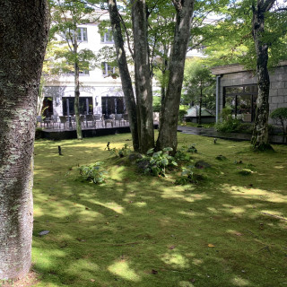 緑豊かな中庭