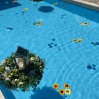 ひまわりを浮かせてもらいました