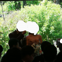 披露宴会場です。
窓から緑が綺麗に見えます。