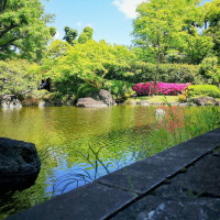 綺麗なガーデンです。