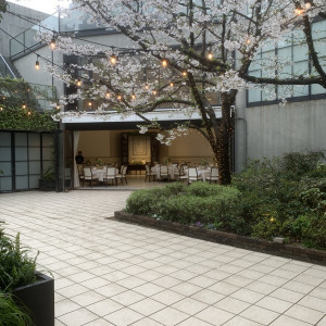 披露宴会場のガーデン|746500さんのパラッツォ ドゥカーレ 麻布 （Palazzo Ducale AZABU）の写真(2427376)