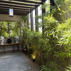 植物の緑が映える5月がお勧めです。|746622さんのクラシカ表参道/別邸KEYAKIの写真(2428393)