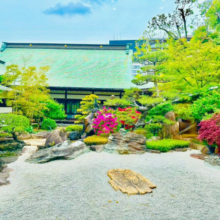 4月は椿が綺麗に咲いていました