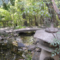 お庭の雰囲気です。とても素敵でした。
