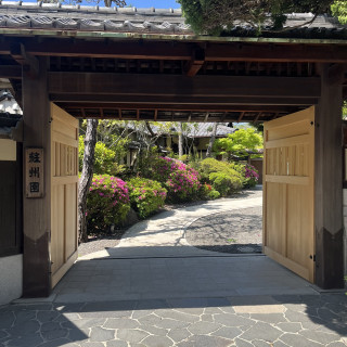 5月初旬頃の撮影