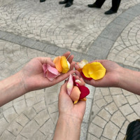 フラワーシャワーのお花です