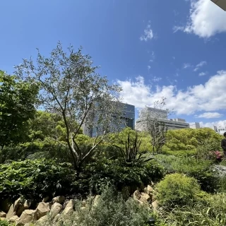 フラワーシャワー