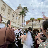 フラワーシャワーをしているところです。