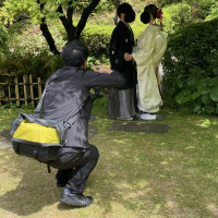 庭