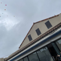 庭から見たバルーンを飛ばした時の様子です。