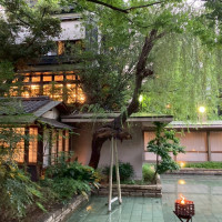 石舞台にある柳の木