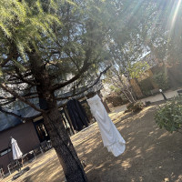 前撮りで使用した衣装を飾りました