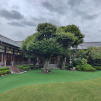 広い庭園