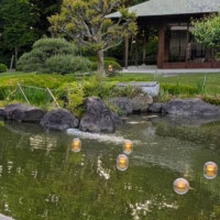 池がありました
