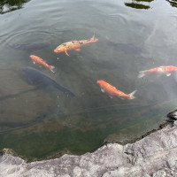 庭園