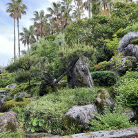 庭園