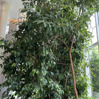 披露宴会場