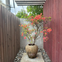 季節により変わる式場前の渡り廊下のような先にあるお花